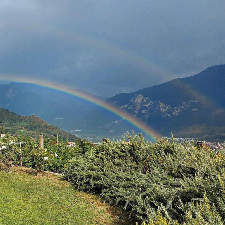 Villa Lagarina Agritur Maso Spezialヴィラ エクステリア 写真