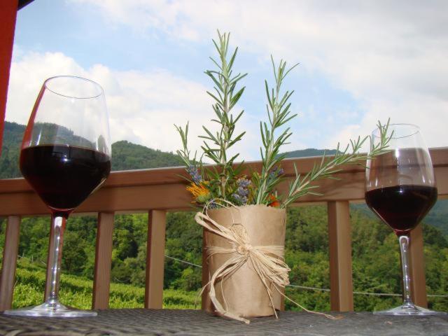 Villa Lagarina Agritur Maso Spezialヴィラ エクステリア 写真