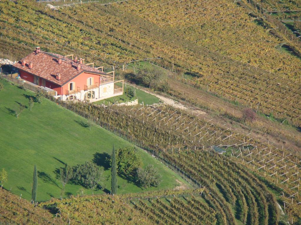 Villa Lagarina Agritur Maso Spezialヴィラ エクステリア 写真