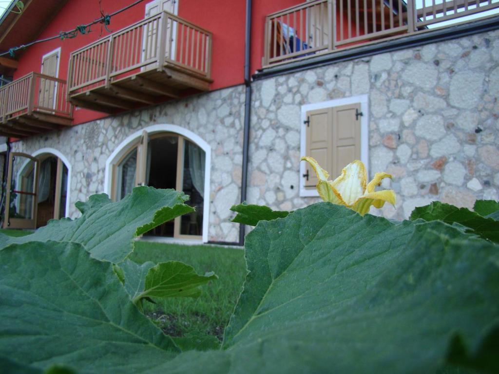 Villa Lagarina Agritur Maso Spezialヴィラ エクステリア 写真