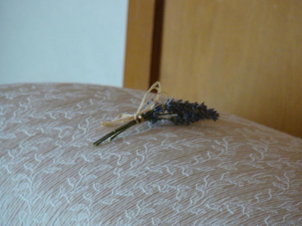 Villa Lagarina Agritur Maso Spezialヴィラ 部屋 写真