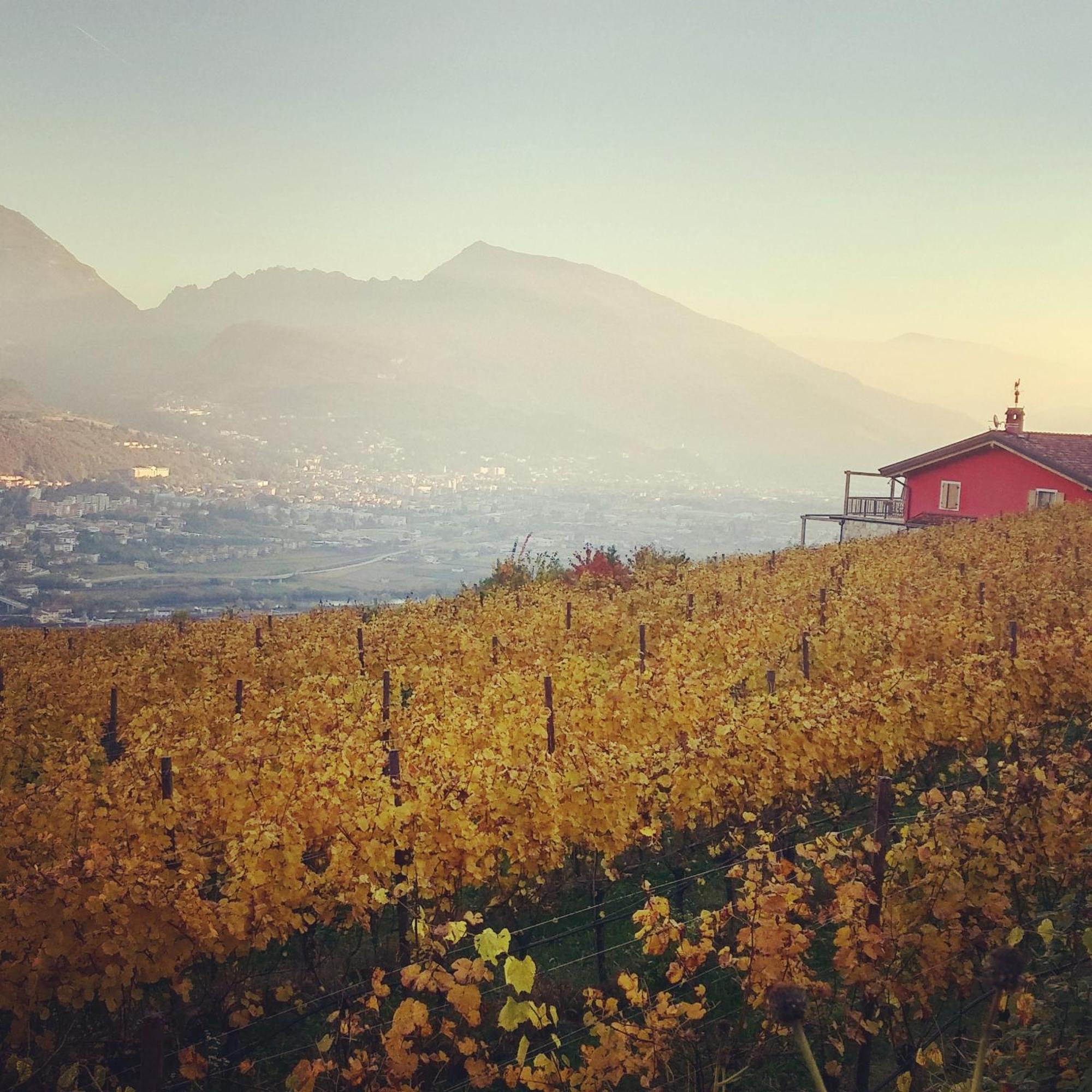 Villa Lagarina Agritur Maso Spezialヴィラ エクステリア 写真