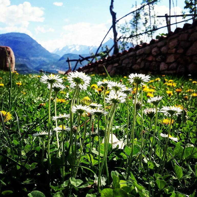 Villa Lagarina Agritur Maso Spezialヴィラ エクステリア 写真