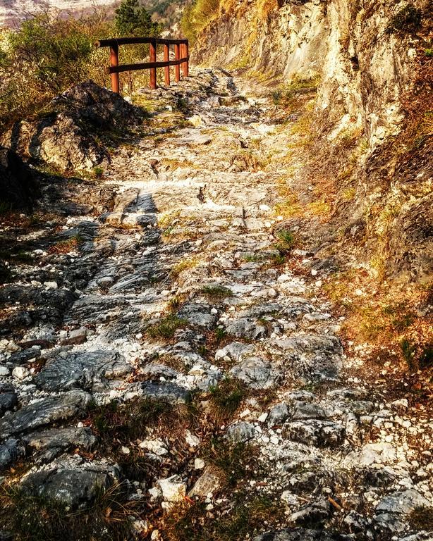 Villa Lagarina Agritur Maso Spezialヴィラ エクステリア 写真