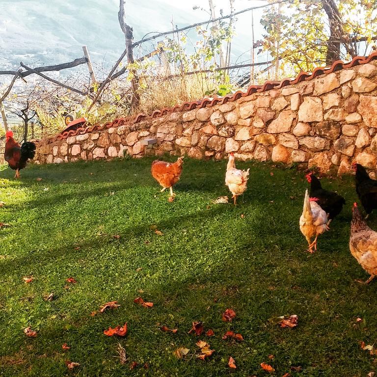 Villa Lagarina Agritur Maso Spezialヴィラ エクステリア 写真