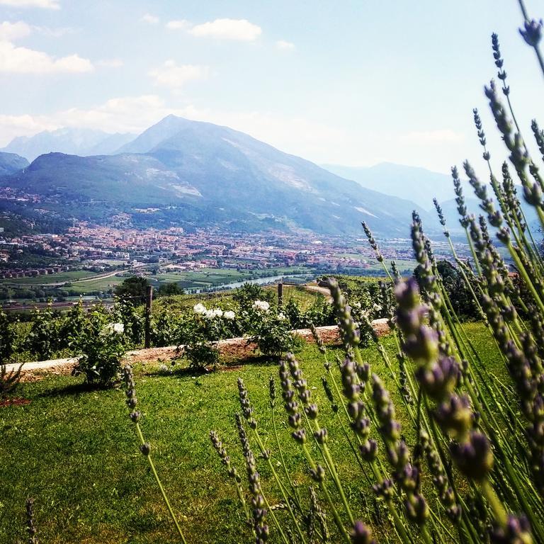 Villa Lagarina Agritur Maso Spezialヴィラ エクステリア 写真